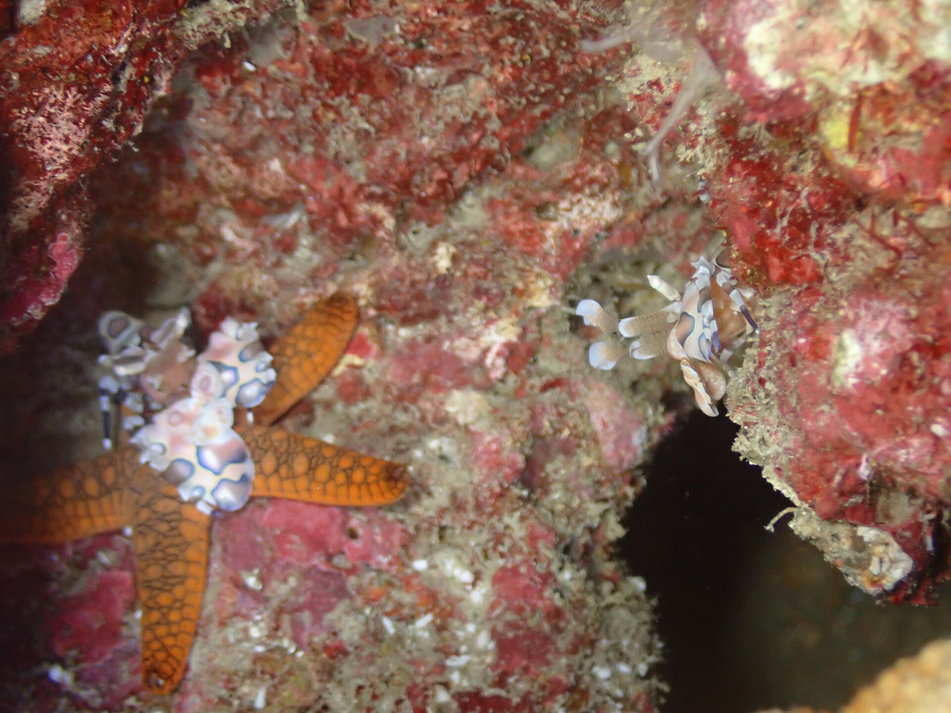 2026.8.17（月）　賑わい止まらず青い串本の海へ✨