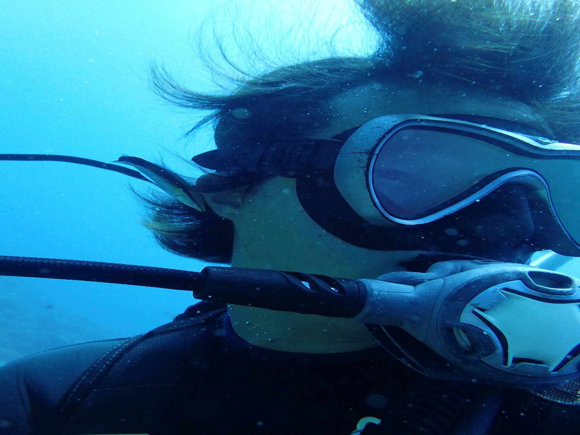 2026.9.1（火）　人間も魚も気にせずお掃除！