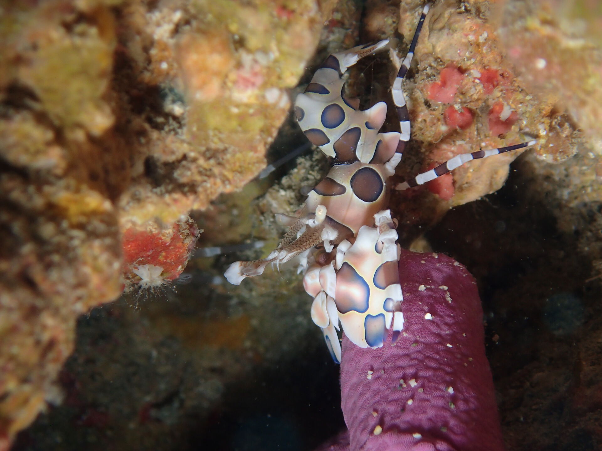 2026.9.1（火）　人間も魚も気にせずお掃除！